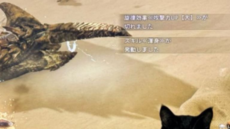 テレビ前にいる猫