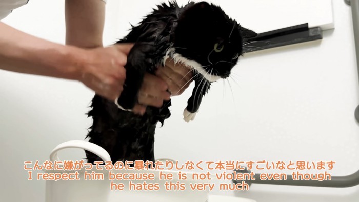 「こんなに嫌がって...」のテロップ写真