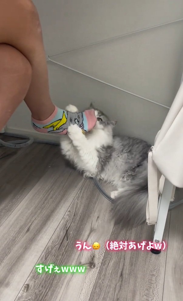 懇願する娘さん