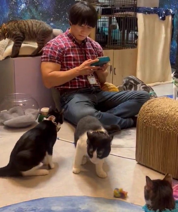 青木マッチョさんに近づく猫