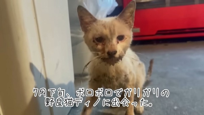 テロップ「7月下旬、~」