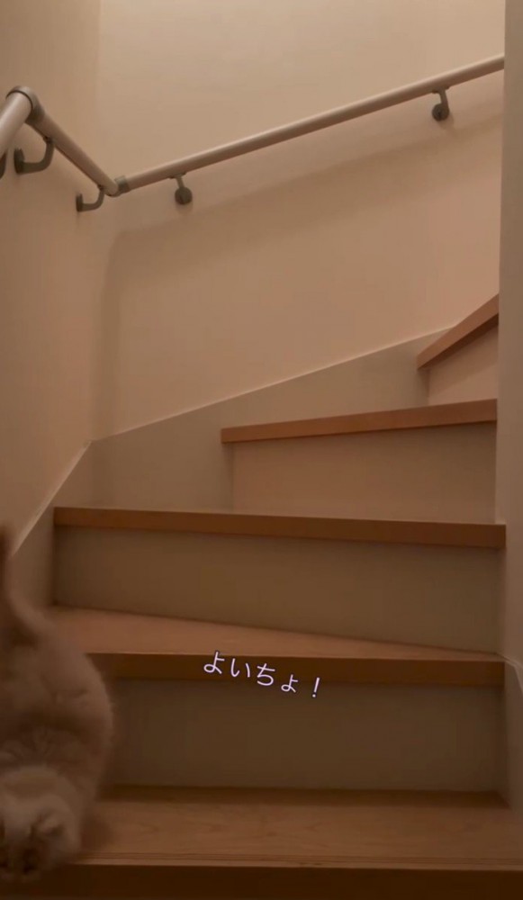 「よいちょ」と書かれた写真