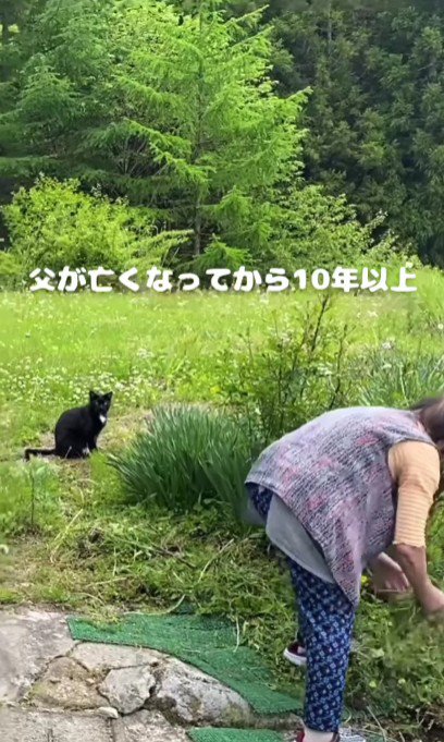 畑にいるおばあちゃんと猫
