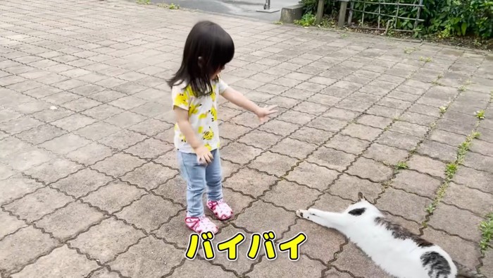 猫に手を振る女の子