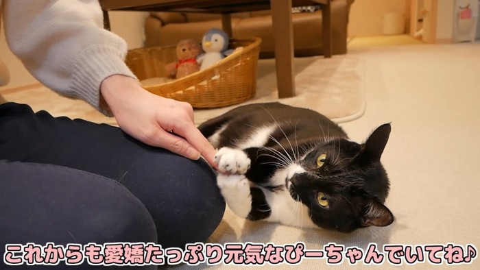 これからも~いてね♪