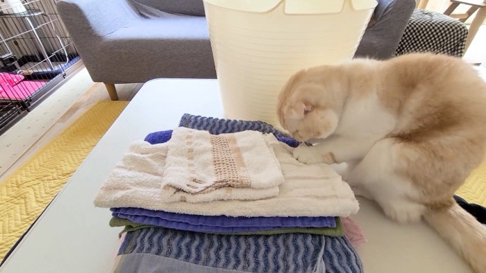 畳まれた洗濯物