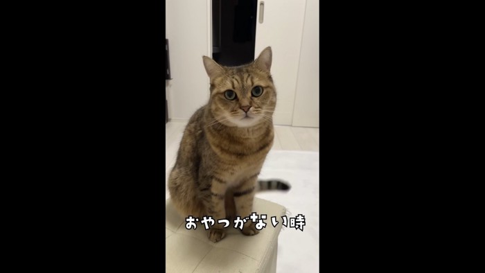 おやつがない時の写真