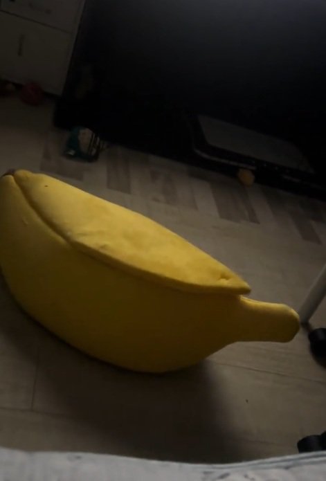 部屋に置いてあるペット用バナナベッド