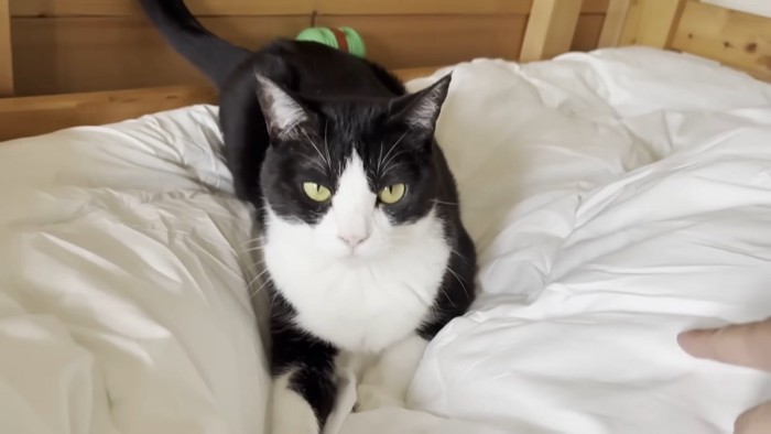 画面右にママさんの右手（指さしポーズ）