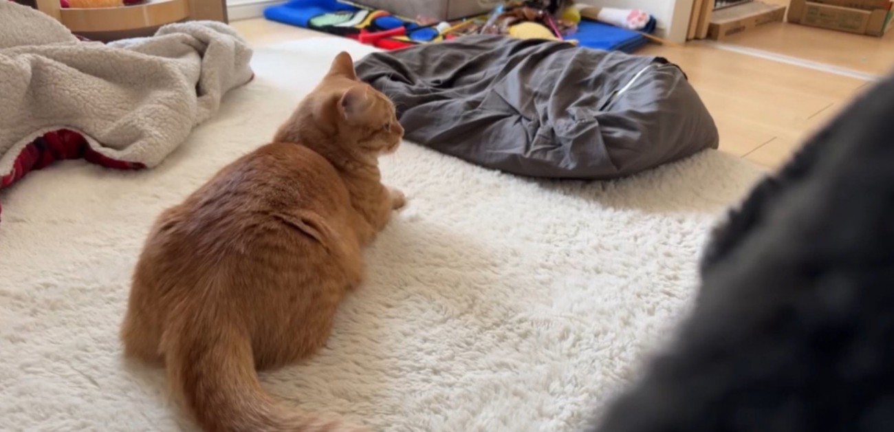 リラックスしているいずくん