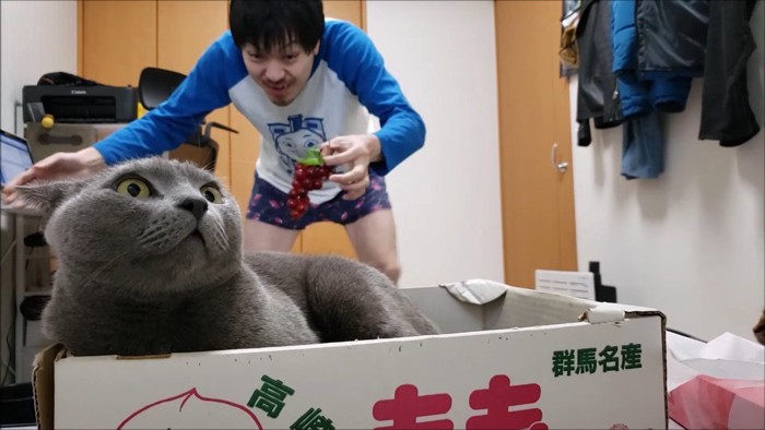 目を見開いた顔