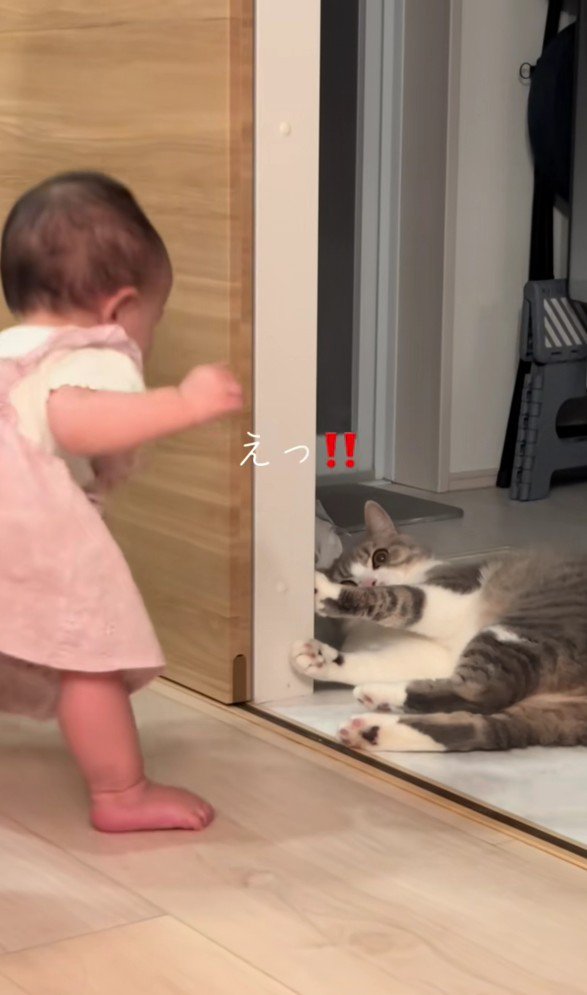 立ち上がる猫と見ている赤ちゃん