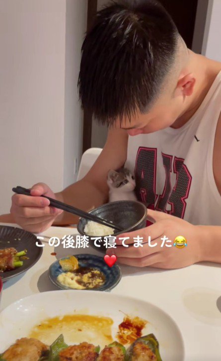 食事中の男性と子猫