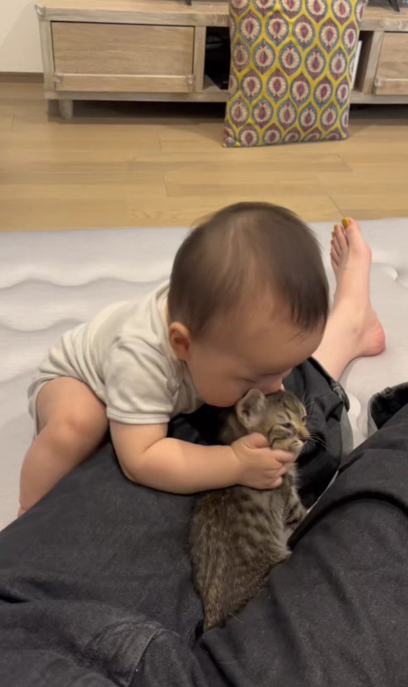 赤ちゃんと子猫