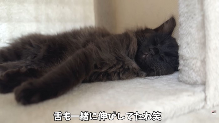 テロップ「舌も一緒に～」