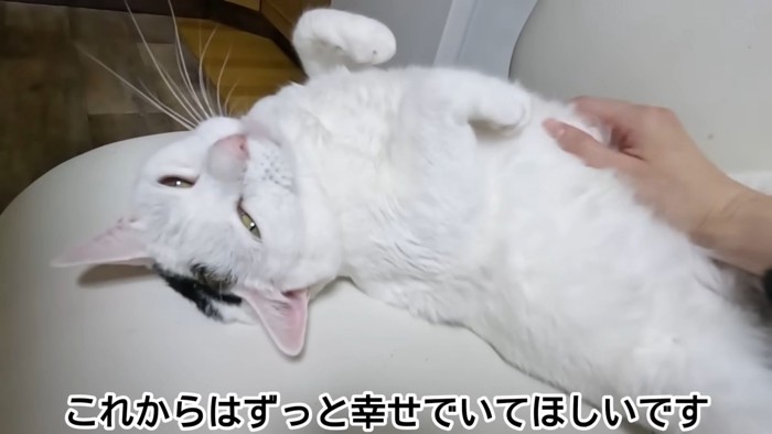 テロップ「これからはずっと~」