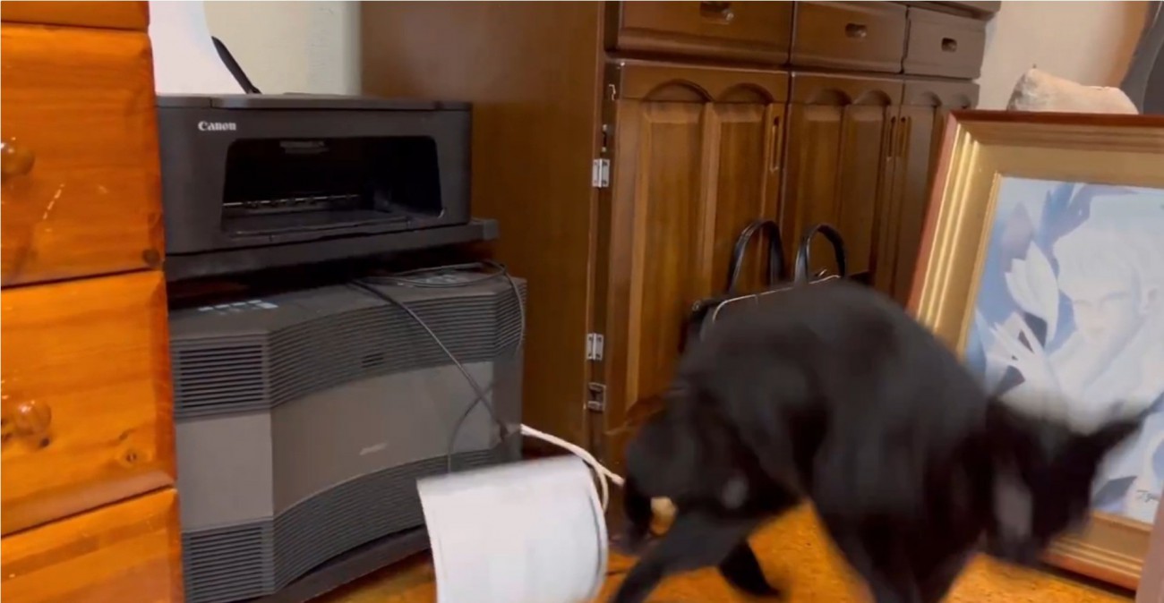 逃げるこねろくくん