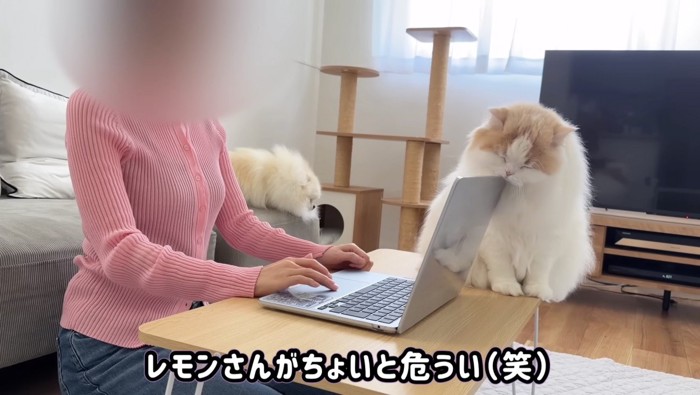 危ういレモンくん
