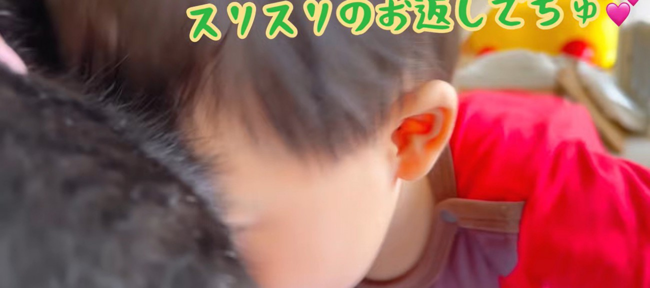 額を寄せ合っている子猫と赤ちゃん