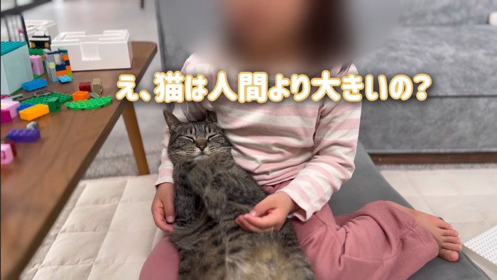 猫は人間より
