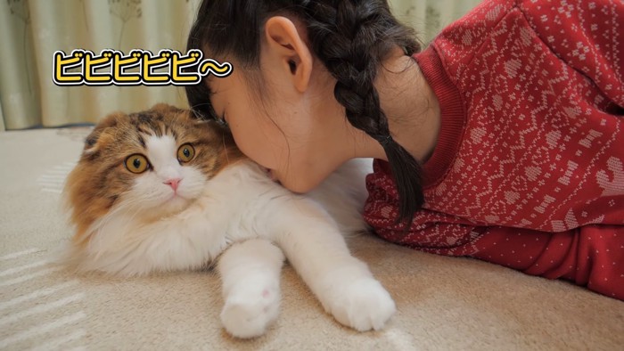 猫に顔をくっつけるこども