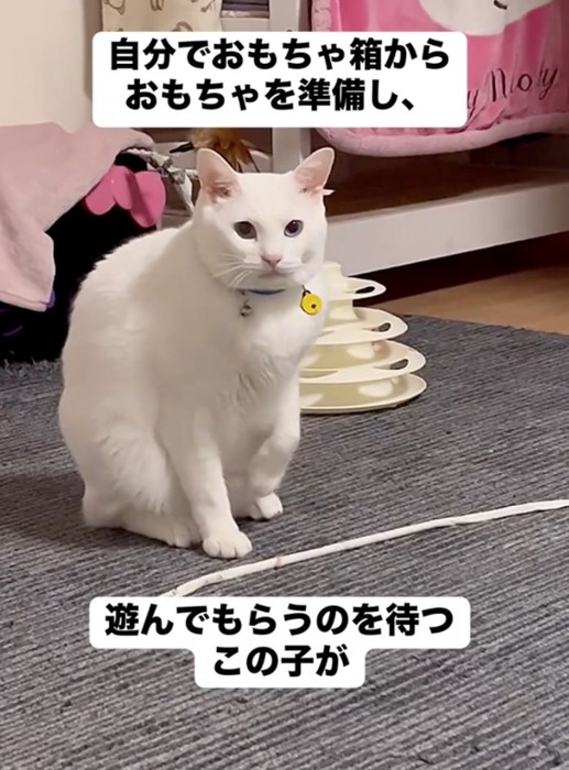 見つめる