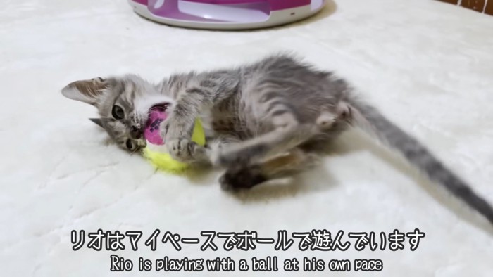 テロップ「リオは~」