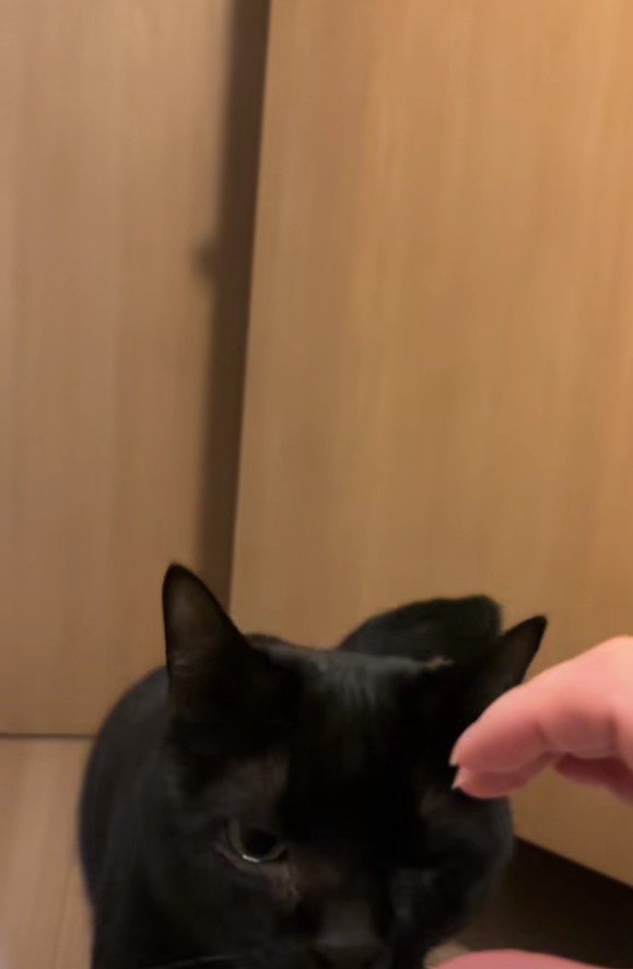 手で作った半分ハートと虎徹くん