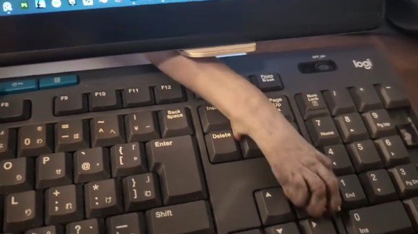 キーボードに手を伸ばすスフィンクス