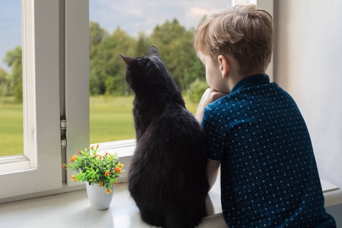 窓から外をながめる少年と猫