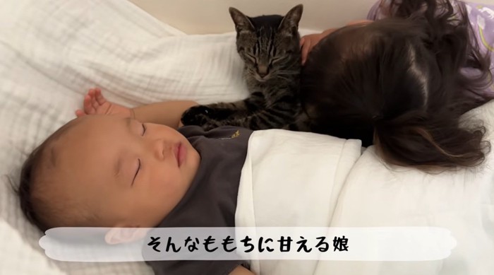 子供達と一緒に寝ている猫