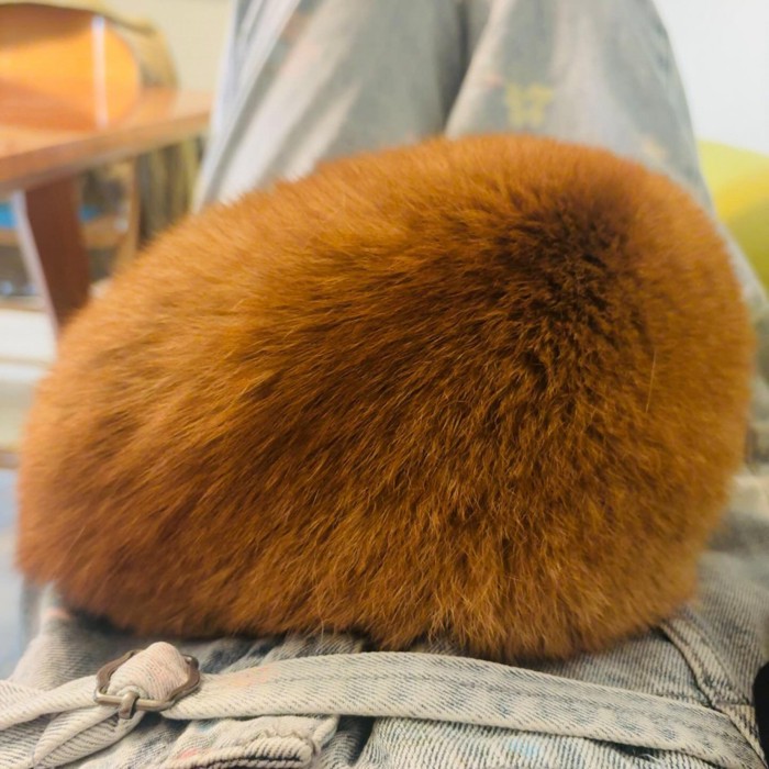 丸まっている猫