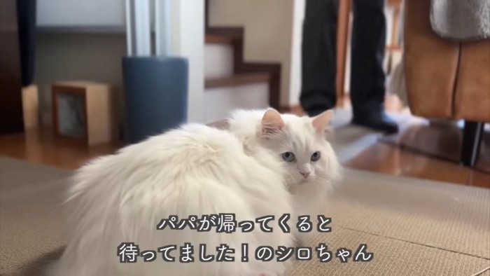 テロップ「パパが帰ってくると～」