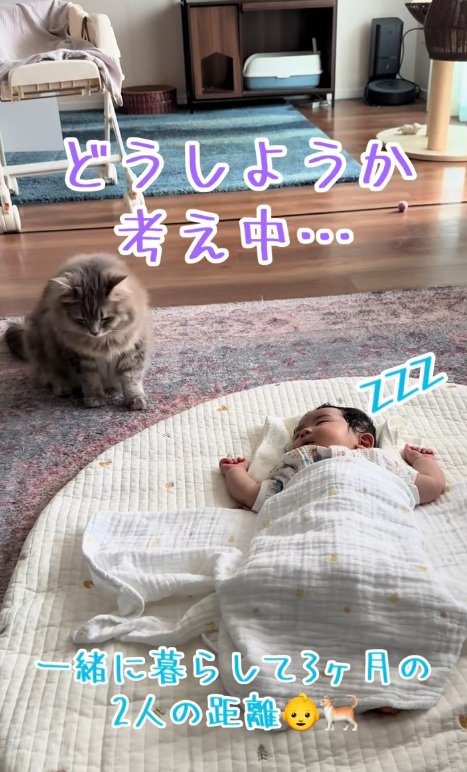 寝ている赤ちゃんのそばで思案する猫