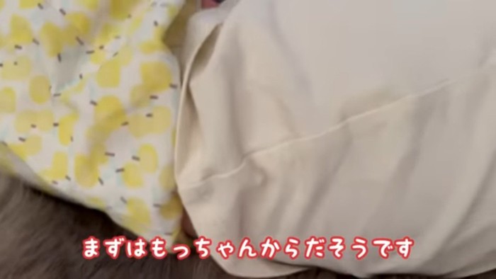 もっちゃんの背中のアップ