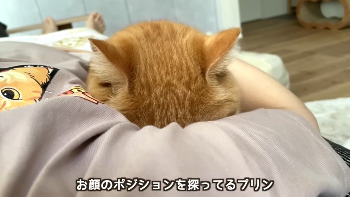 顔を埋めるプリンくん