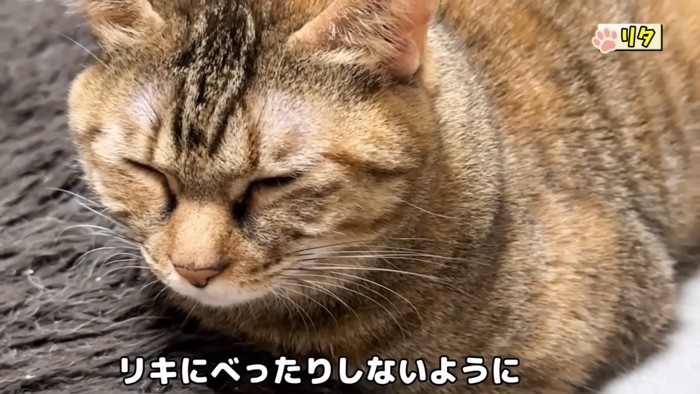 安心して眠るリタちゃん