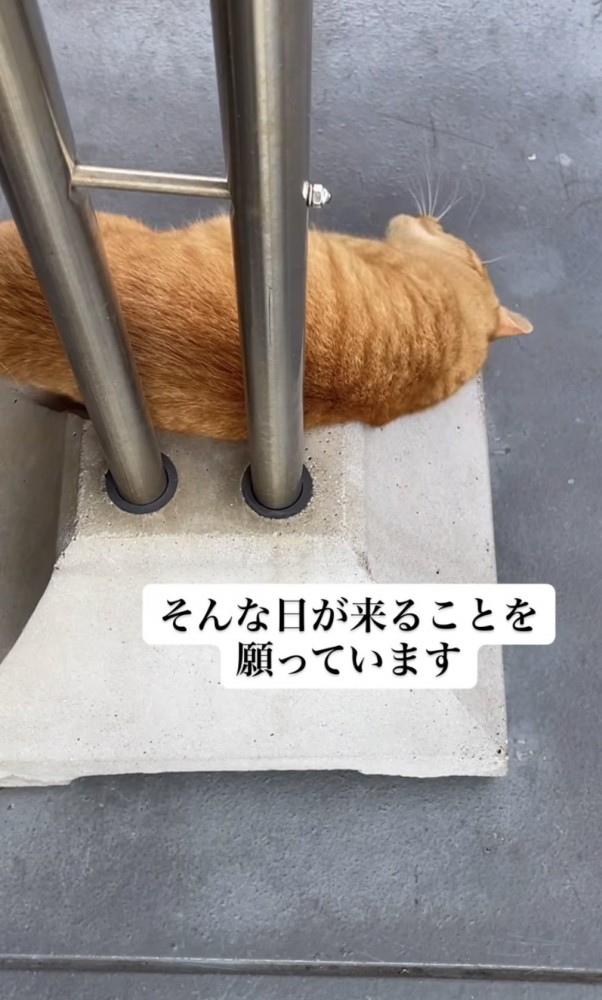 「そんな日が...」のテロップ写真