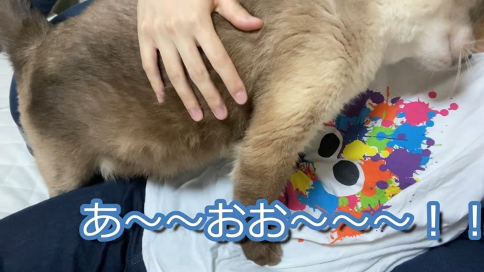 あ〜〜おお〜〜〜!!