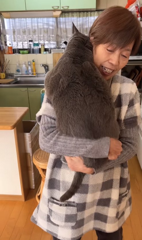 抱っこされている猫の後ろ姿
