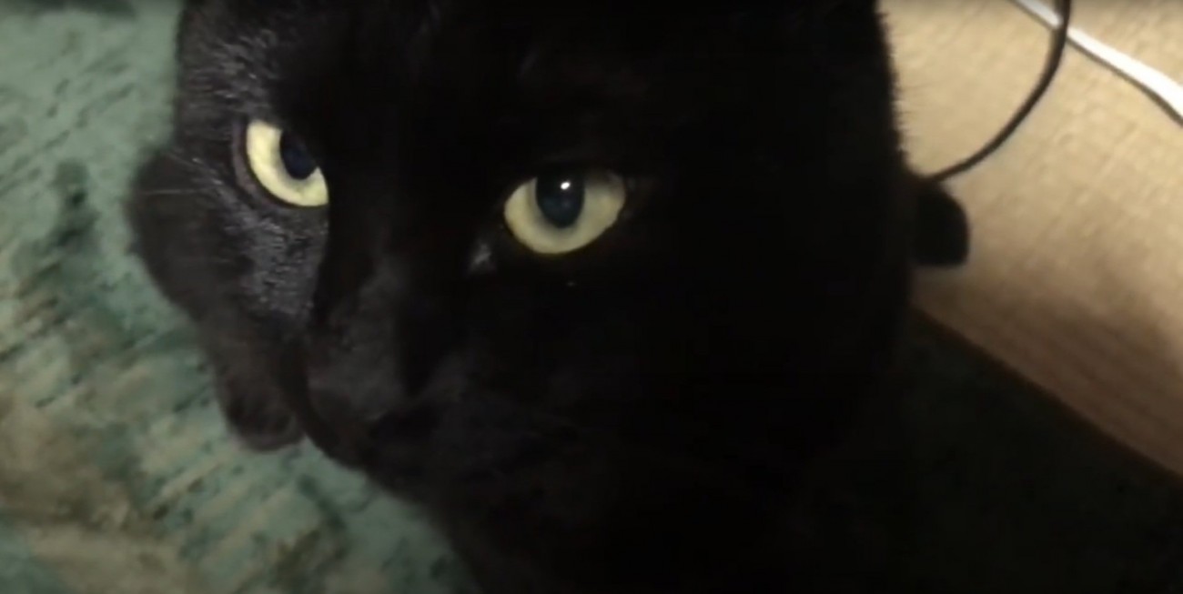 凝視する天くん