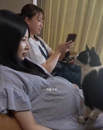 主さんを見る猫