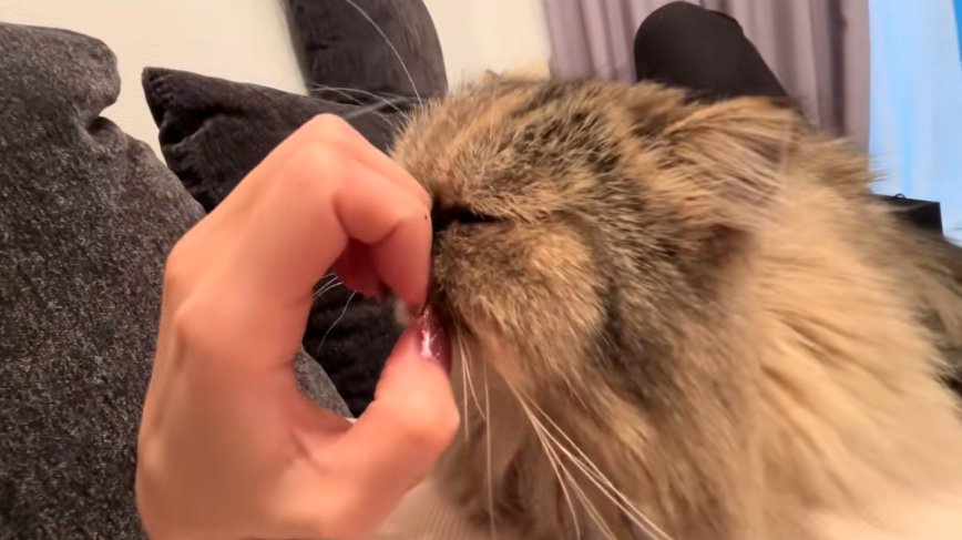 顔をずらして他の爪を見つめる