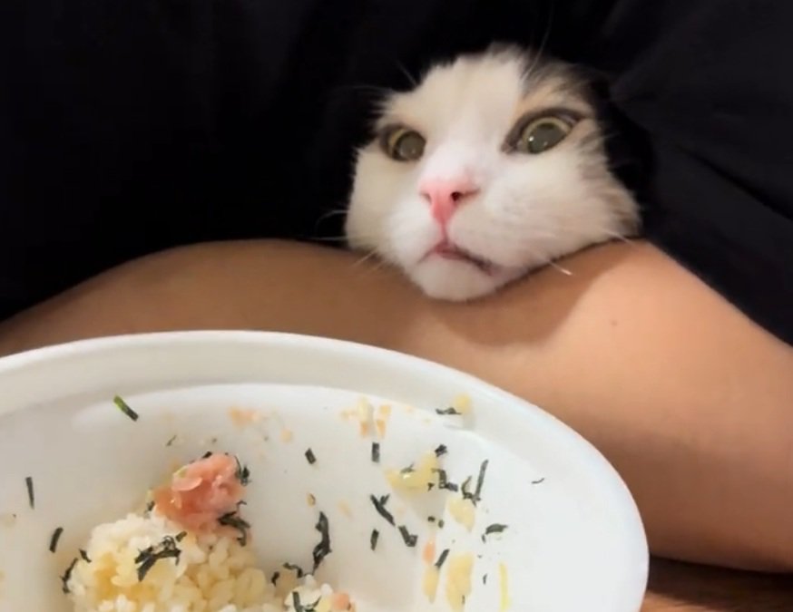 鬼の形相のギンくん