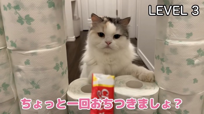 穴から顔を出すつくしちゃん