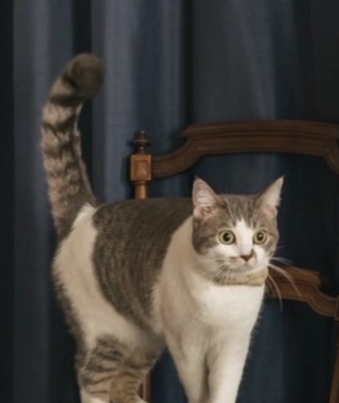 目を丸くするノリスちゃん