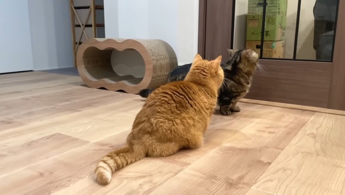 ふたりの後ろ姿