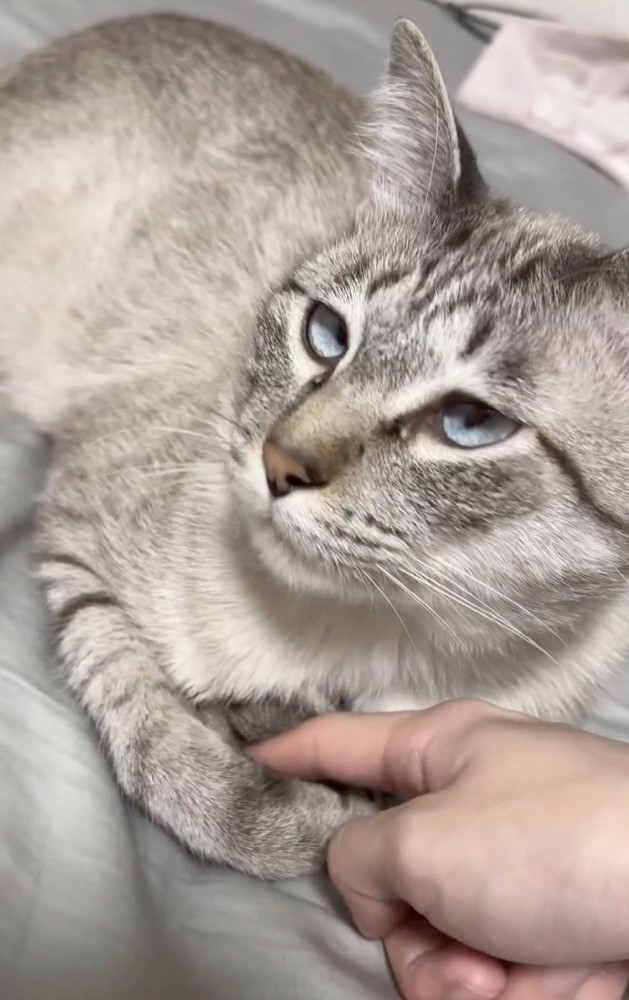 おてての隙間に指を入れる