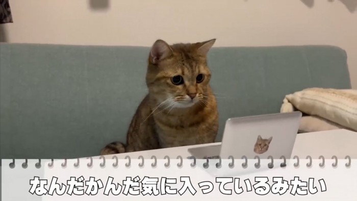 小さな画面をじっと見つめるみにらくん