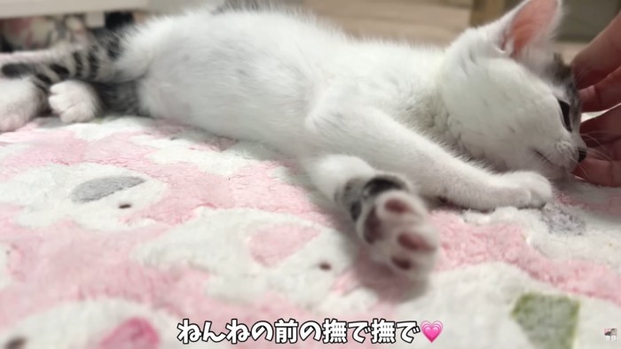 テロップ「ねんねの前の～」